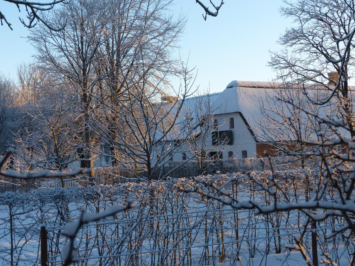 Hesselhogaard Bed & Breakfast Гриннстед Экстерьер фото